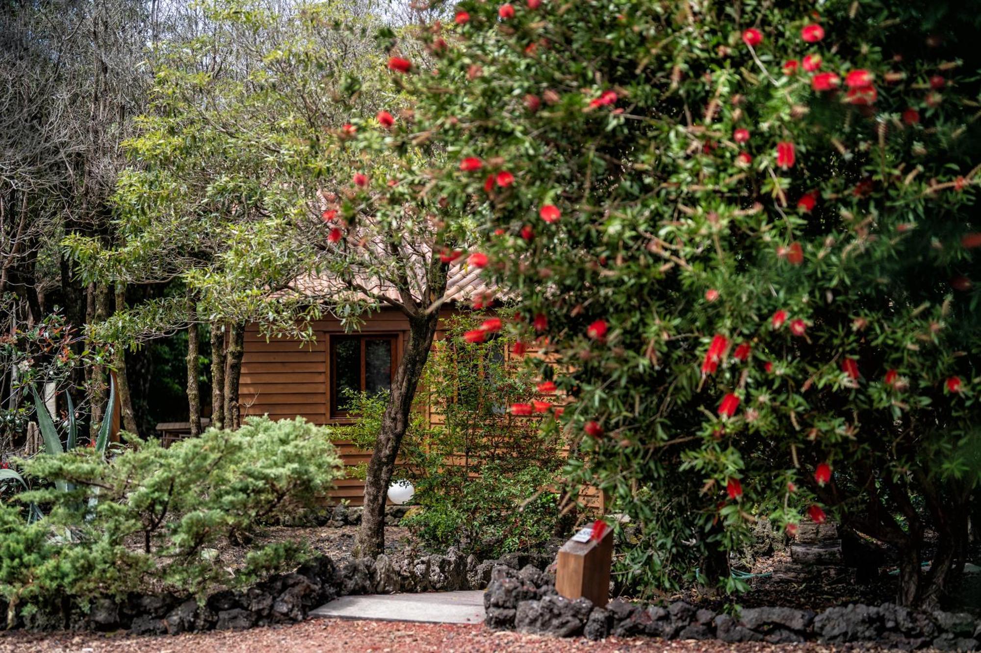 Alma Do Pico - Nature Residence Madalena  Esterno foto