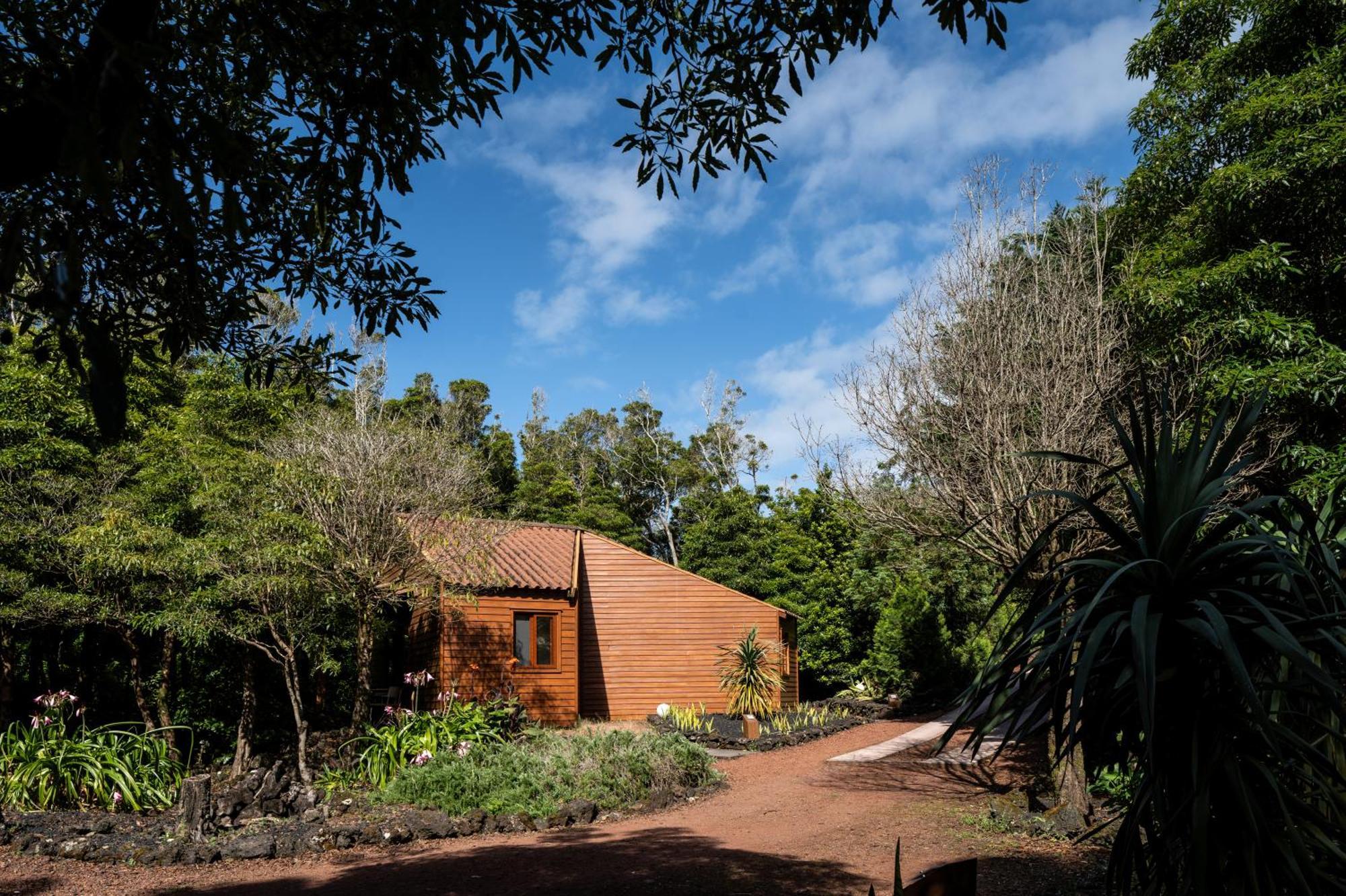 Alma Do Pico - Nature Residence Madalena  Esterno foto
