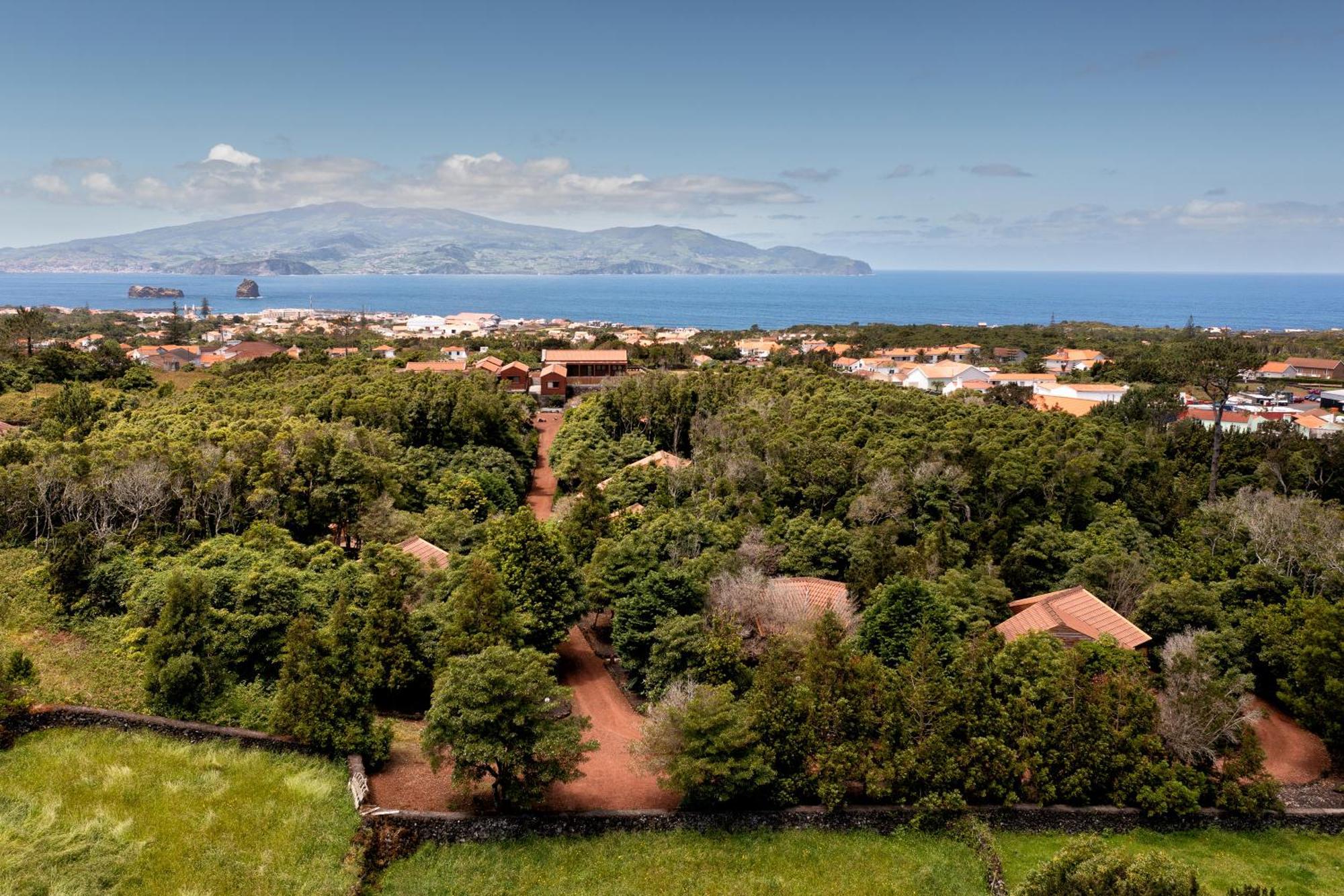 Alma Do Pico - Nature Residence Madalena  Esterno foto