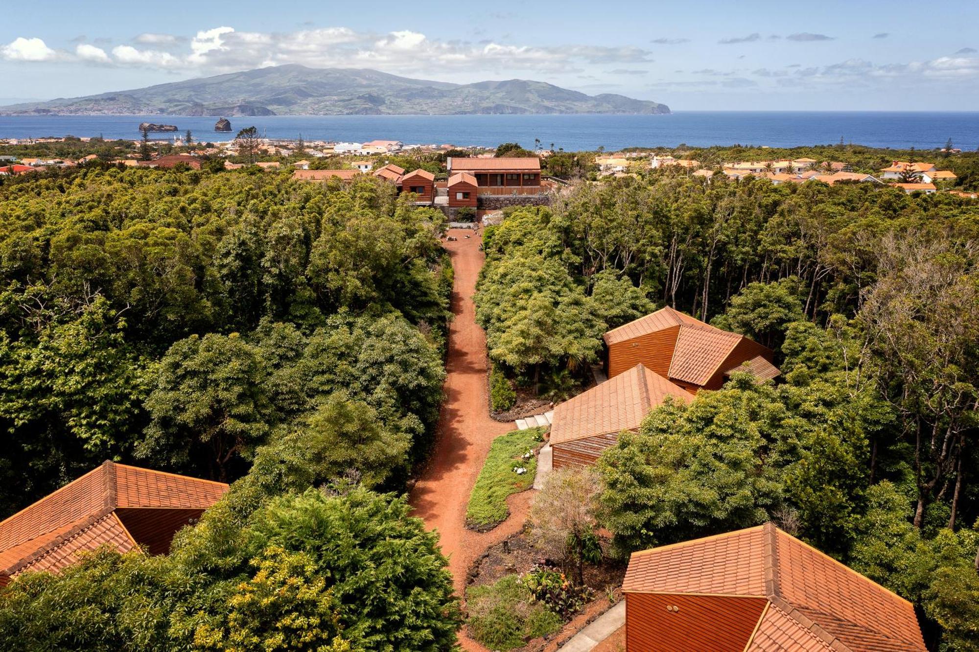 Alma Do Pico - Nature Residence Madalena  Esterno foto